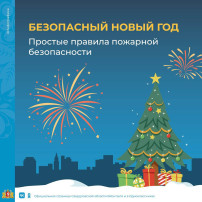 Мероприятия по предотвращению несчастных случаев населения, при использовании пиротехнических изделий Мероприятия по предотвращению несчастных случаев населения, при использовании пиротехнических изделий.